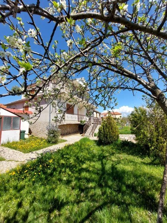 Prespa'S Balcony Guesthouse Dolna Gorica Luaran gambar